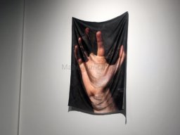 Exposición de Mutantes 2022